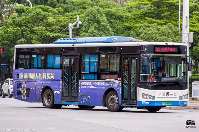 800BUS