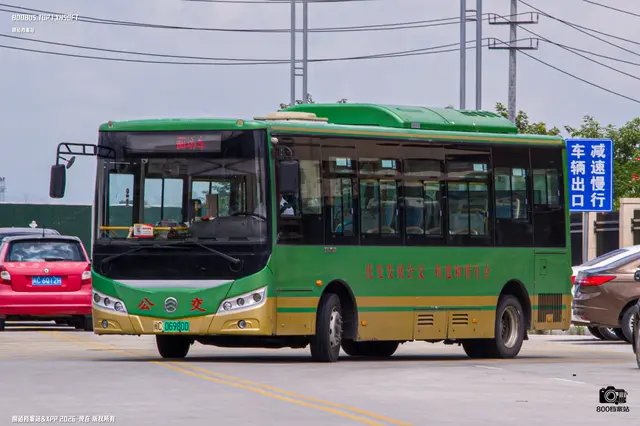 800BUS