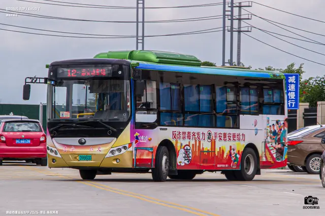 800BUS