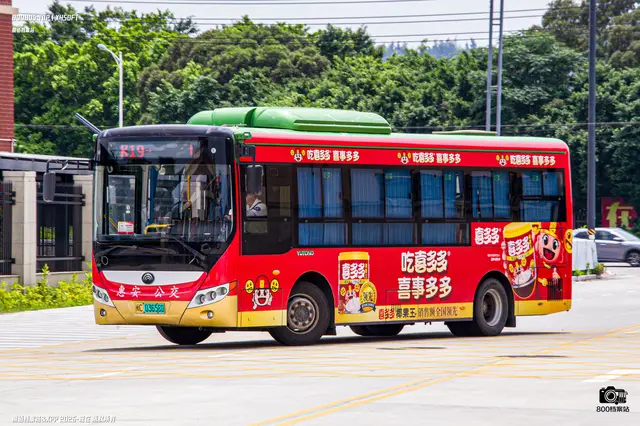 800BUS