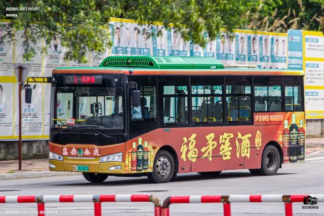 800BUS