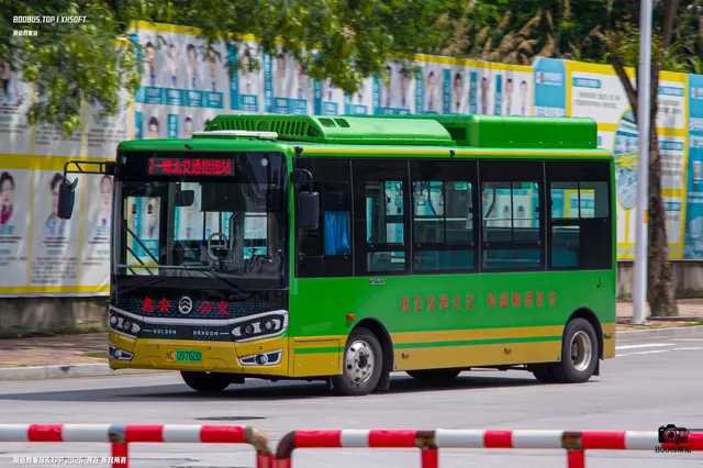 800BUS