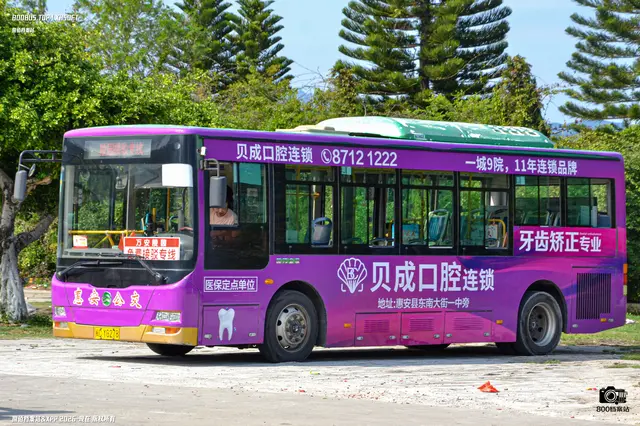 800BUS