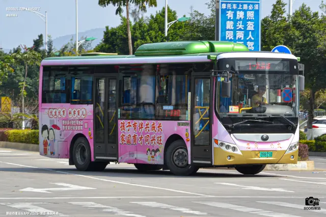 800BUS