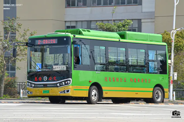 800BUS
