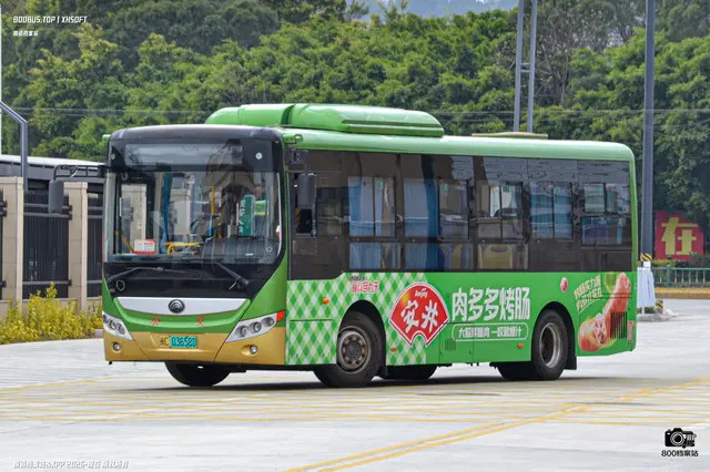 800BUS