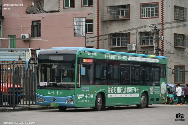 800BUS