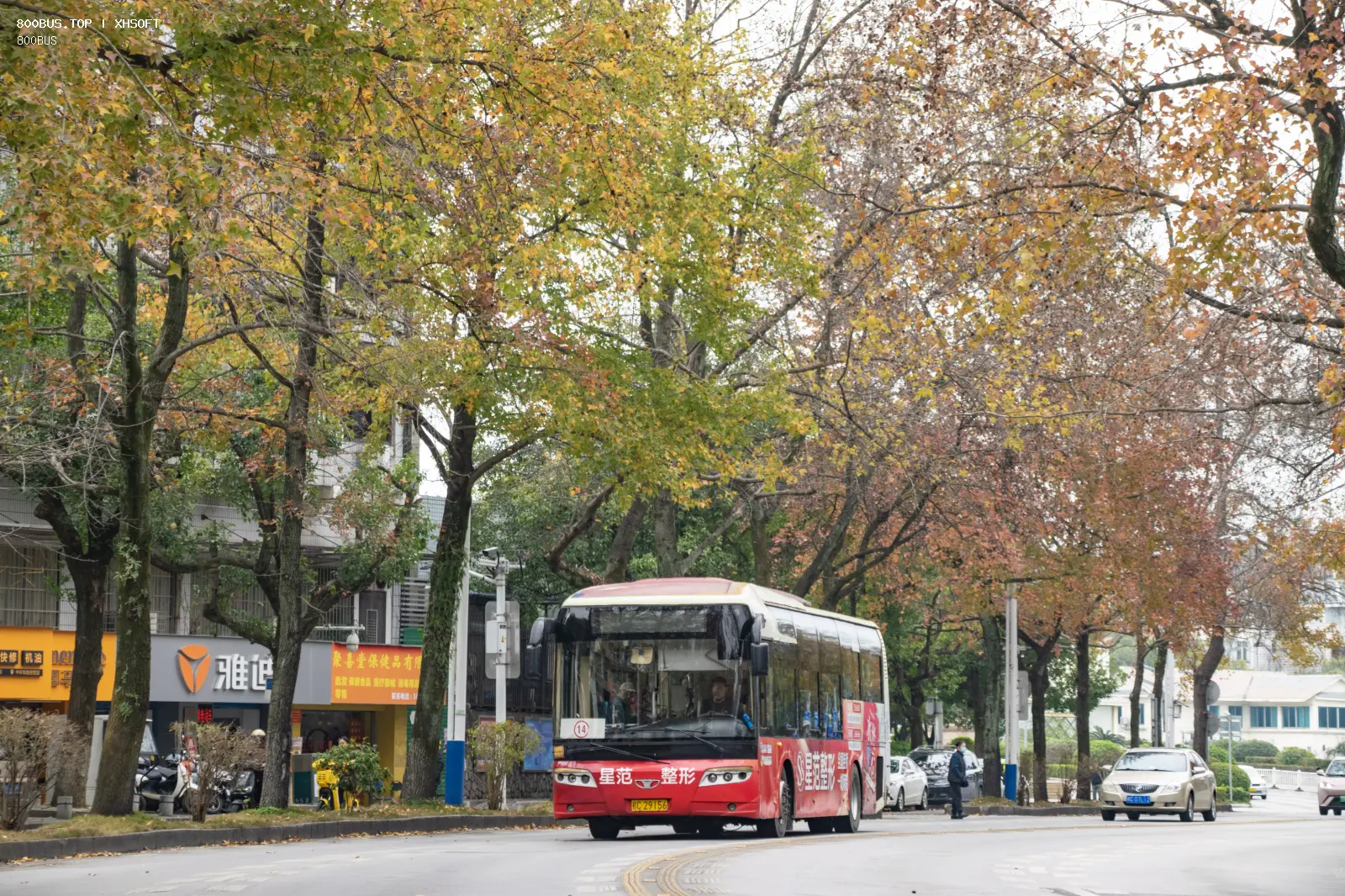 Bus Archive