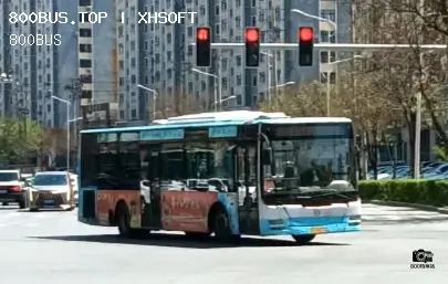 800BUS