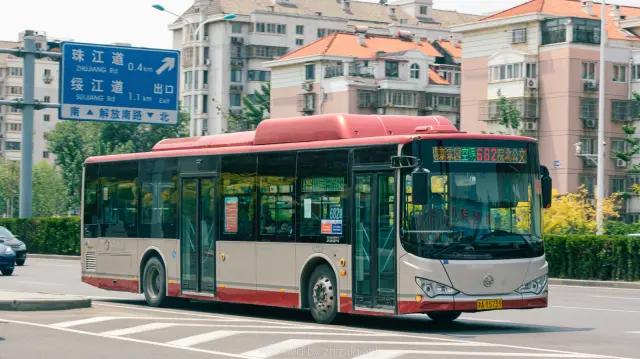 800BUS