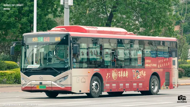 800BUS