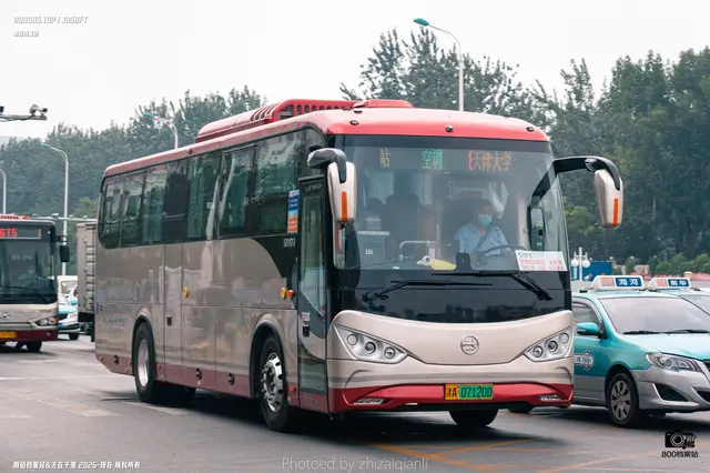 800BUS