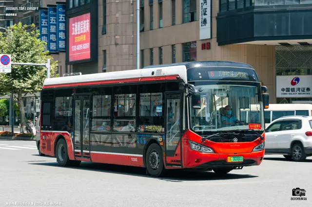 800BUS