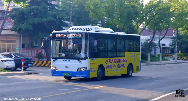 800BUS