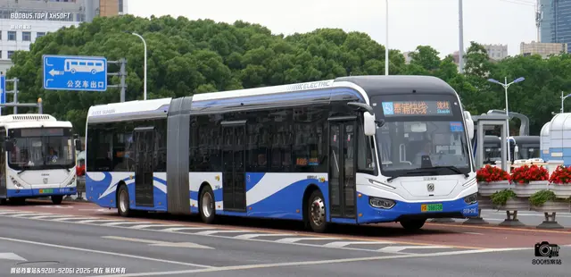 800BUS