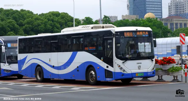 800BUS