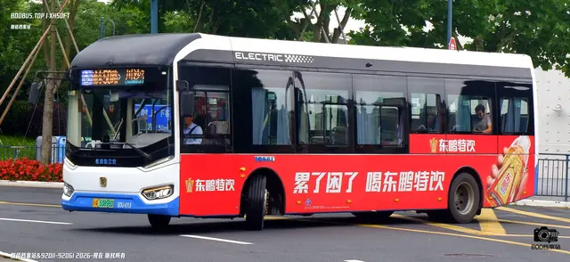 800BUS