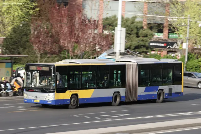 800BUS