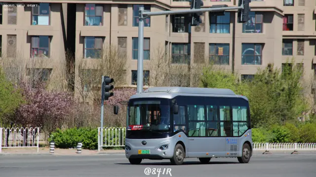 800BUS