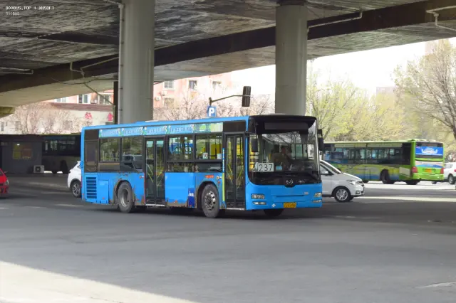 辽C B2446