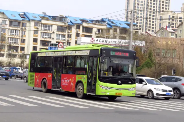 辽C D2667