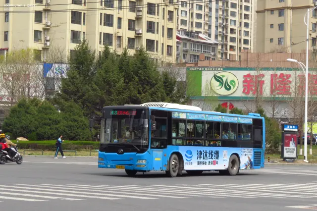 辽C B2493