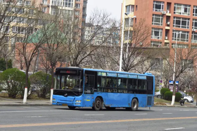 辽C B2411