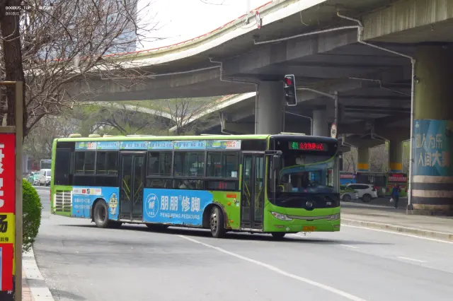 辽C B4659