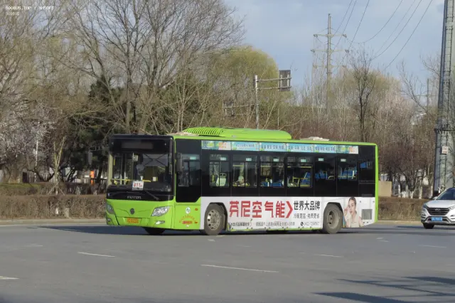 辽C D5202