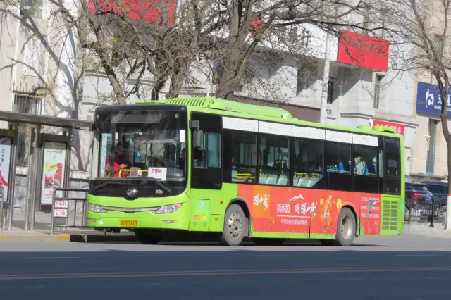 辽C D2667