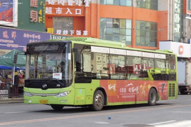 辽C D2667
