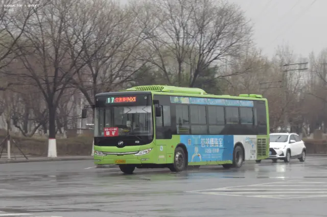 辽C D9880