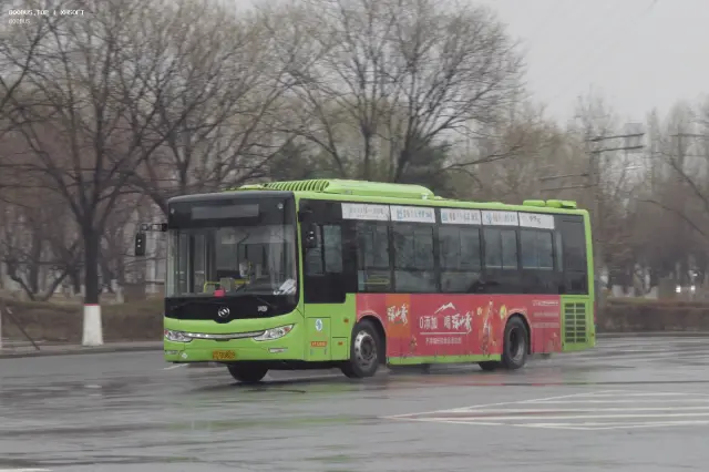 辽C D0809