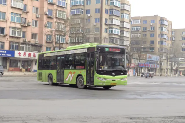辽C D9800