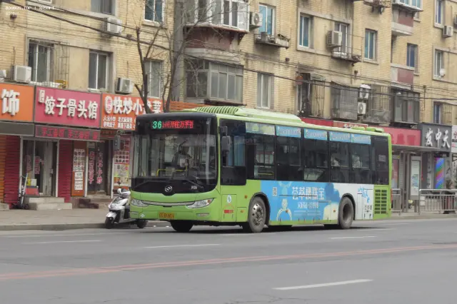 辽C D1801