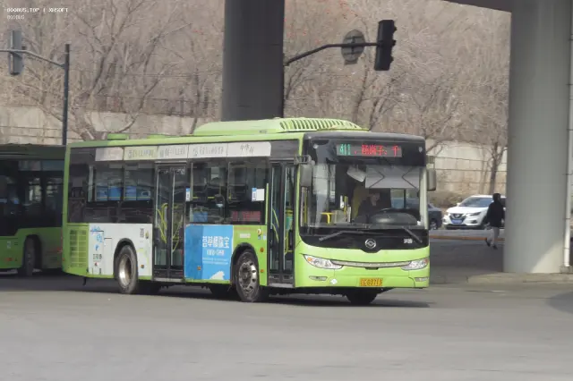 辽C D3713