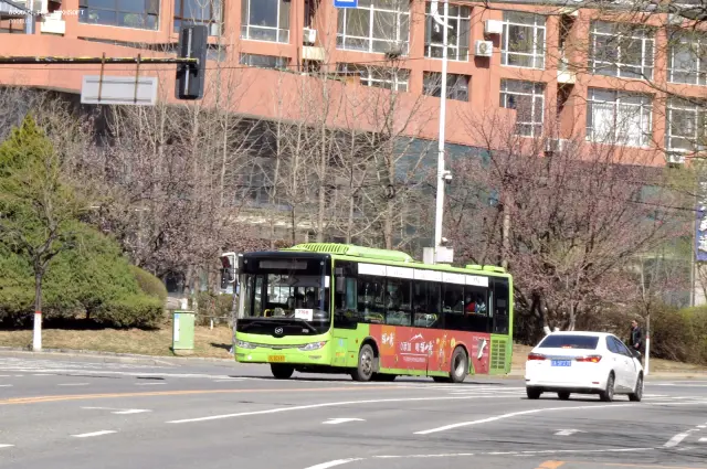辽C D2667