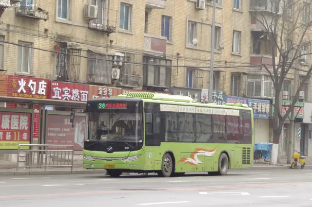 辽C D9800
