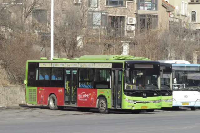辽C D7238