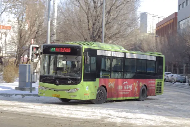 辽C D0809