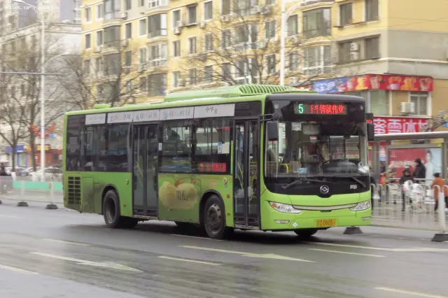 辽C D8051