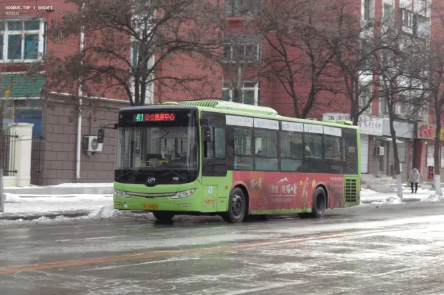 辽C D0809