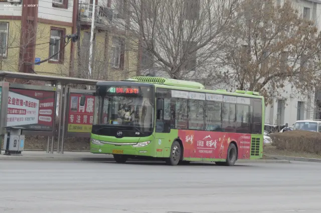 辽C D8398