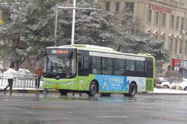 辽C D9181