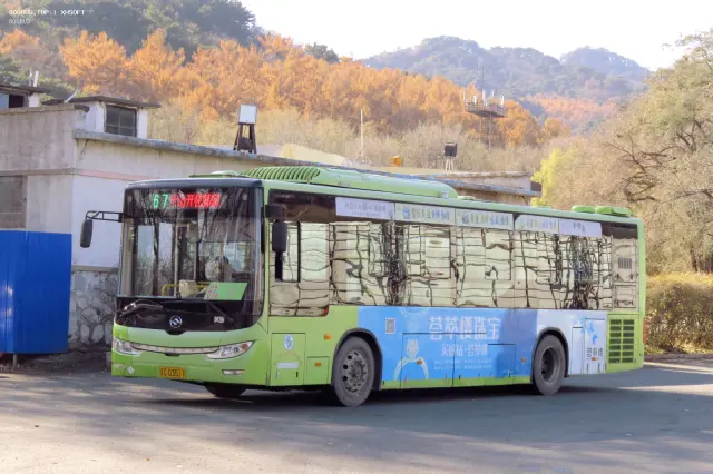 辽C D3517