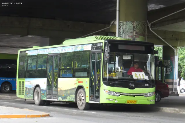 辽C D0610