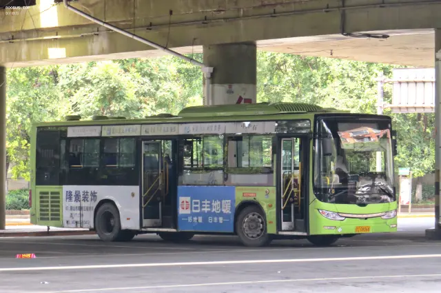 辽C D8068
