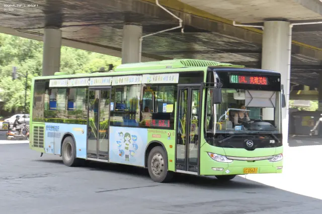 辽C D5631