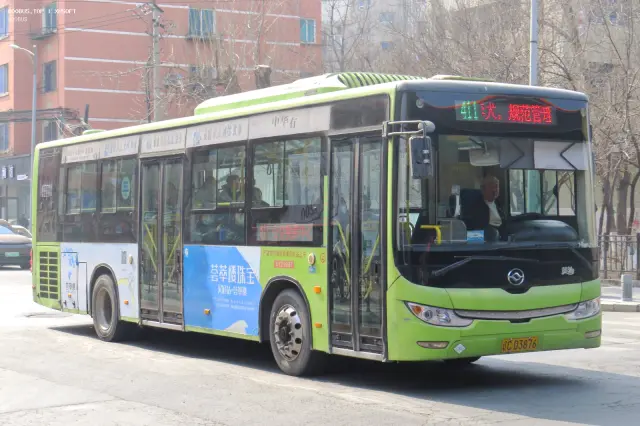 辽C D3876