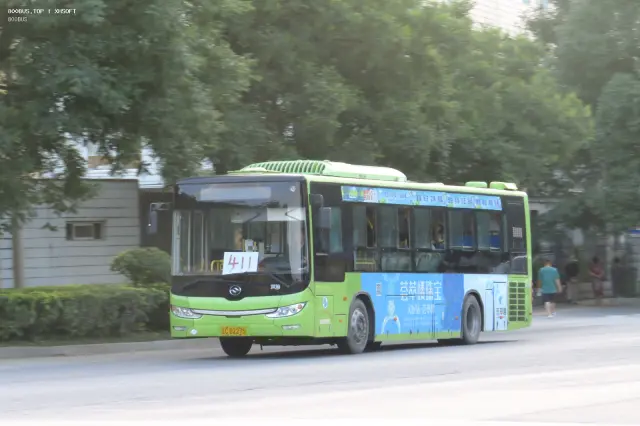 辽C D2275